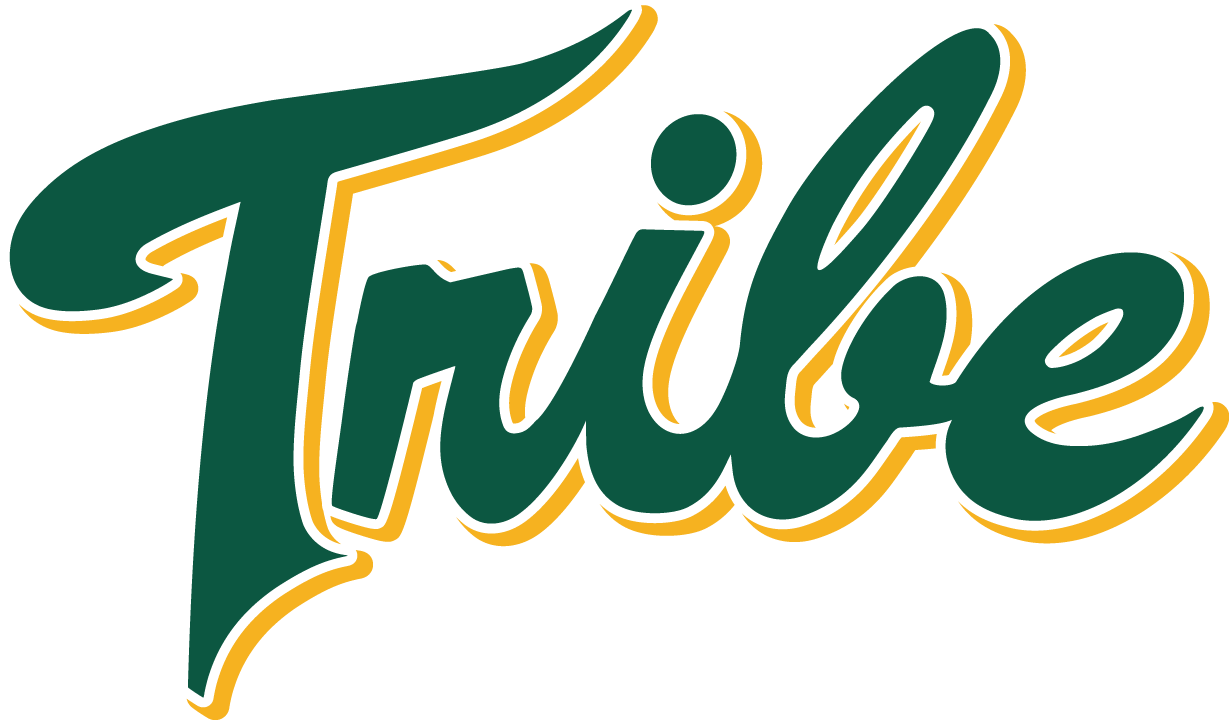 William and Mary Tribe 2016-2017 Alternate Logo iron on transfers for T-shirts